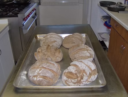 Fresh Bread out of oven