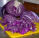 Rotkraut